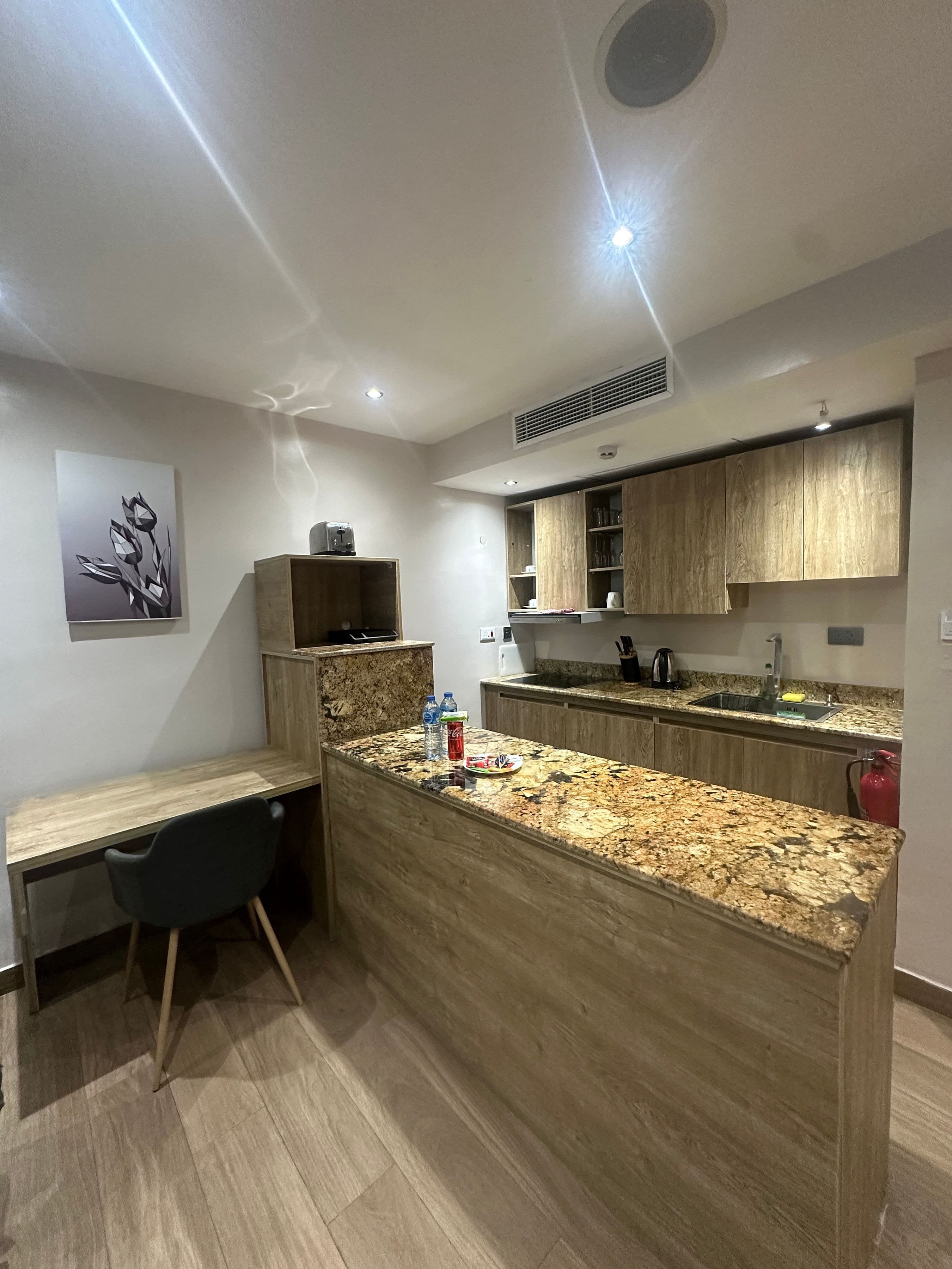 Sunflower Residence - Superior Suite - 1 Bedroom Apartment in Victoria Island - Unit 3 - Image 2