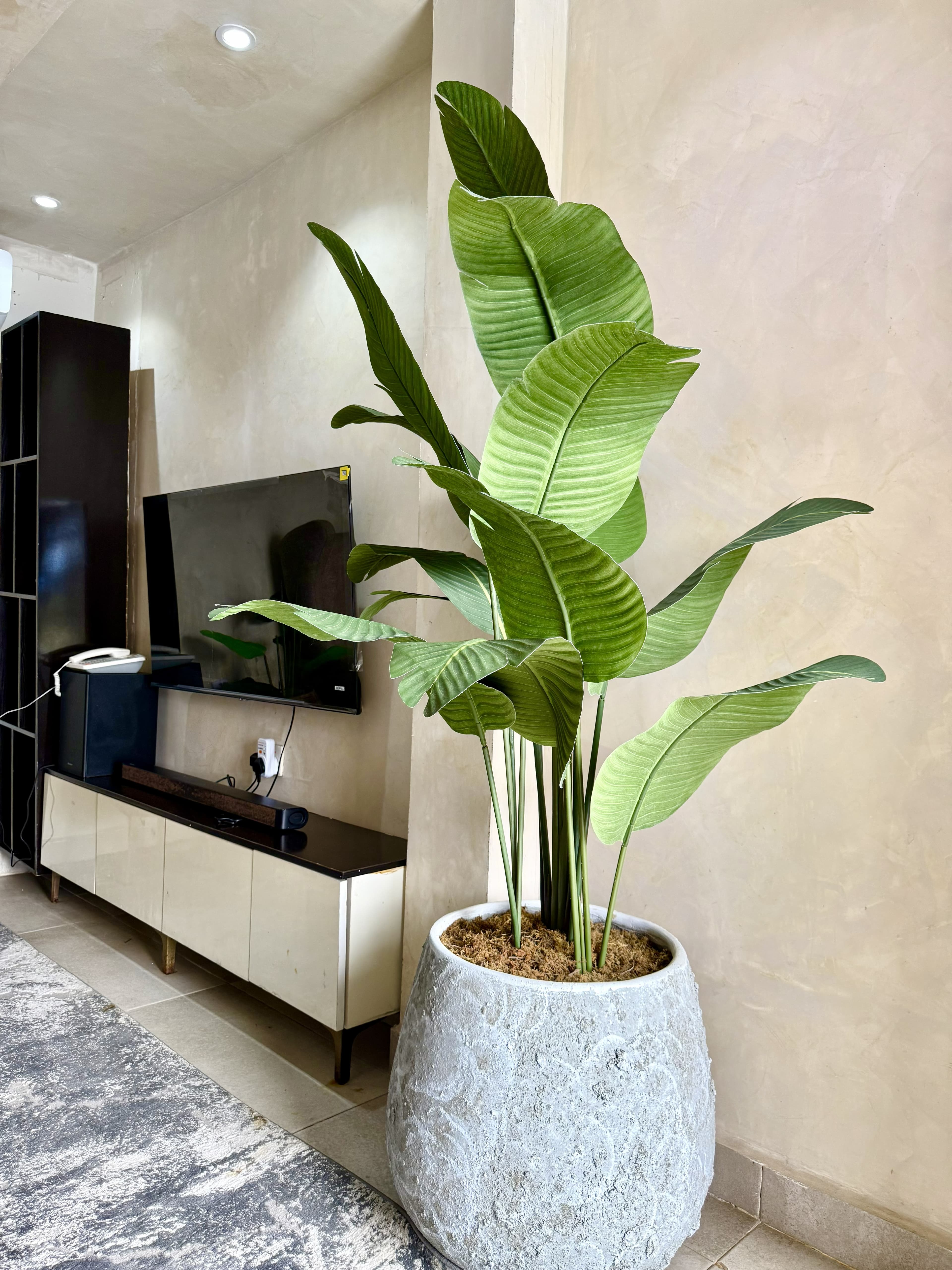 234 Lofts Beach Resort