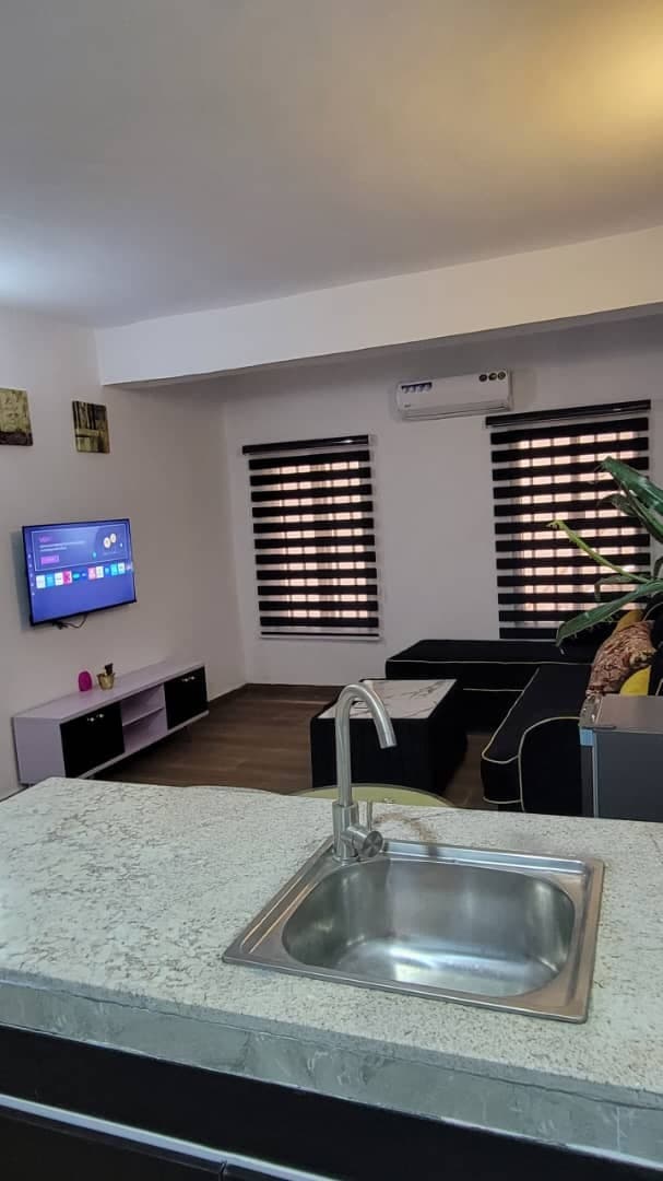 Premium 1-Bedroom Apartment in Lekki - Unit 1 - Image 3